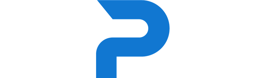 JPS